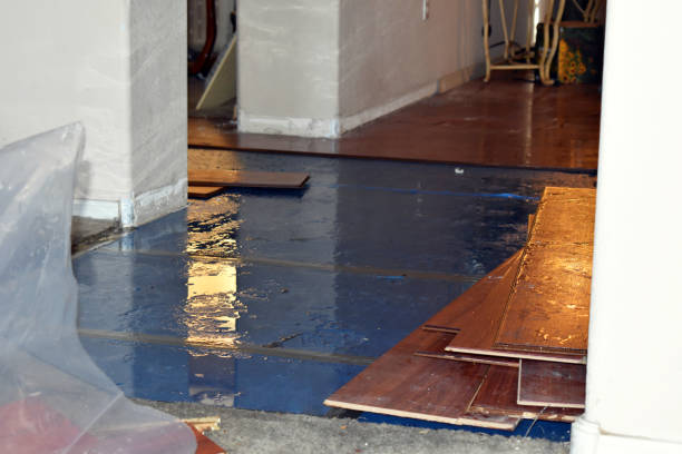 Professional Sewage Cleanup technician working in Antioch, IL